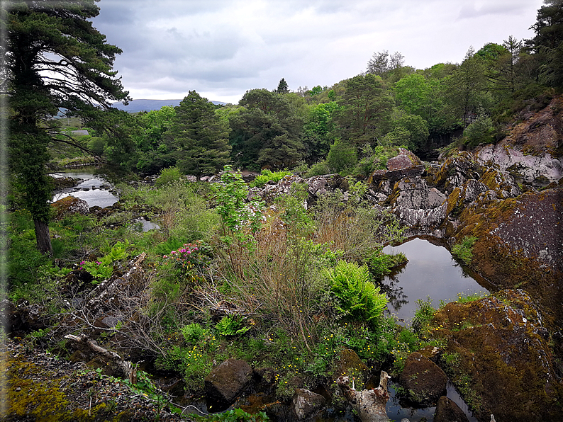 foto Parco di Killarney